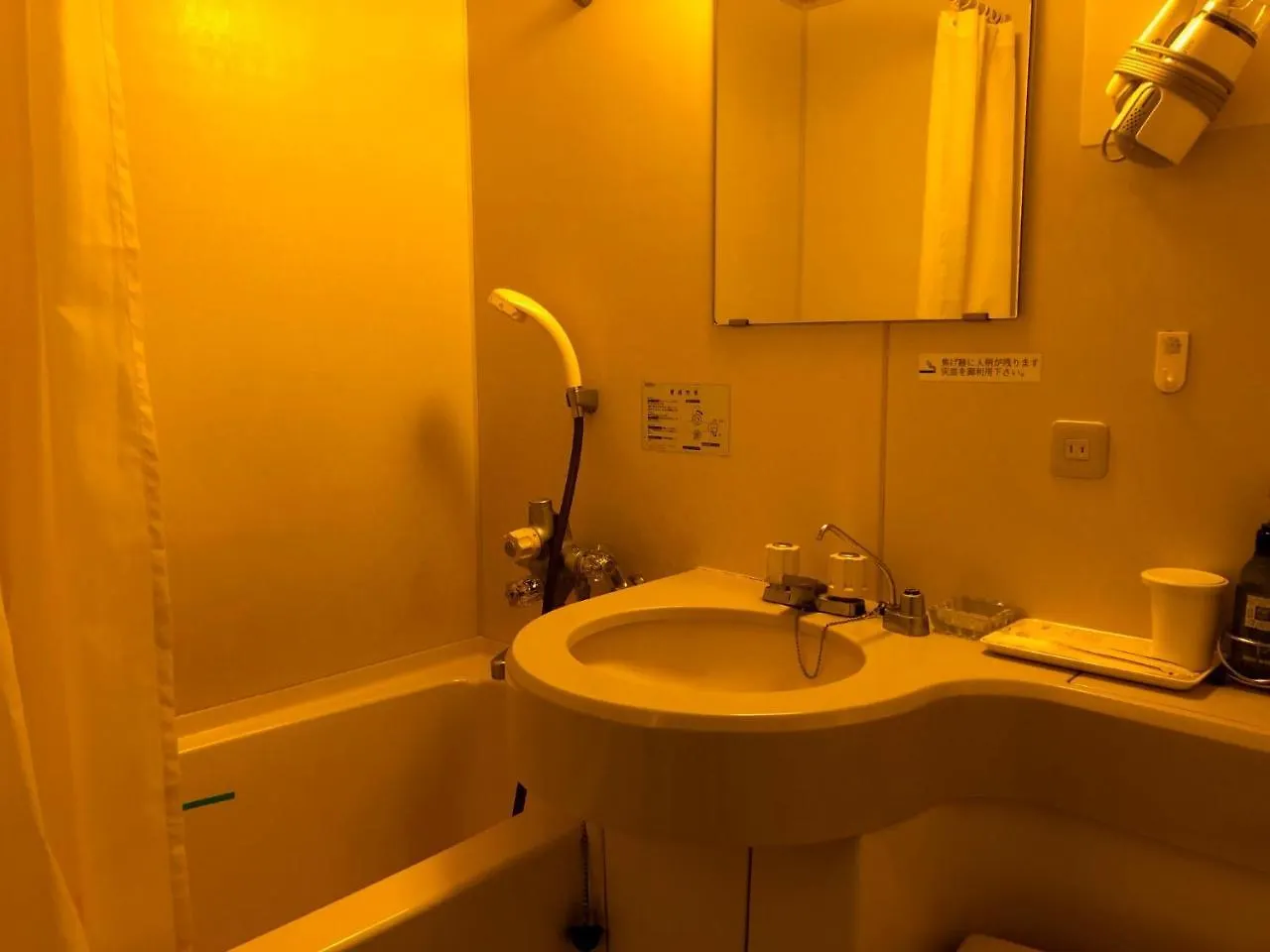 Kawasaki River Hotel 3*, קוואסאקי יפן